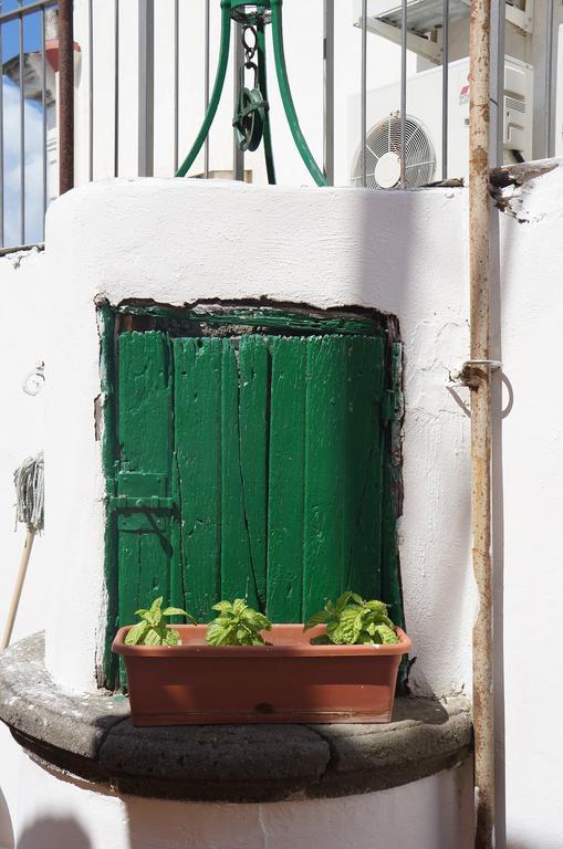 Ring Hostel Forio di Ischia Pokój zdjęcie
